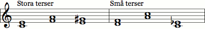 Terser - stora och små